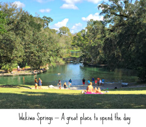 Enjoy a great day trip from Orlando that is a theme park.